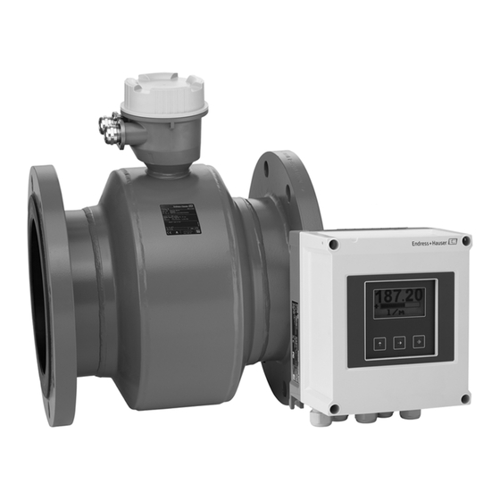 Endress+Hauser Proline Promag W 800 Technische Information