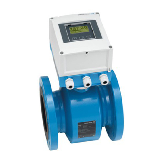 Endress+Hauser Proline Promag W 800 Betriebsanleitung