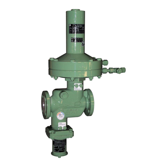 RMG 330 Betriebs- Und Wartungsanleitung