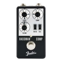 Fender 0234614000 Bedienungsanleitung