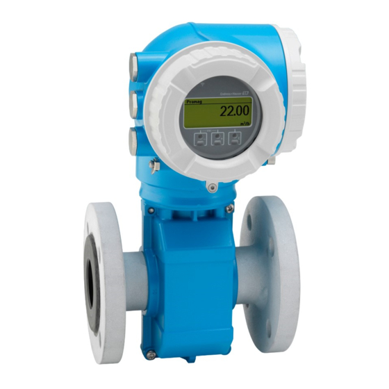 Endress+Hauser Proline Promag W 300 Technische Information
