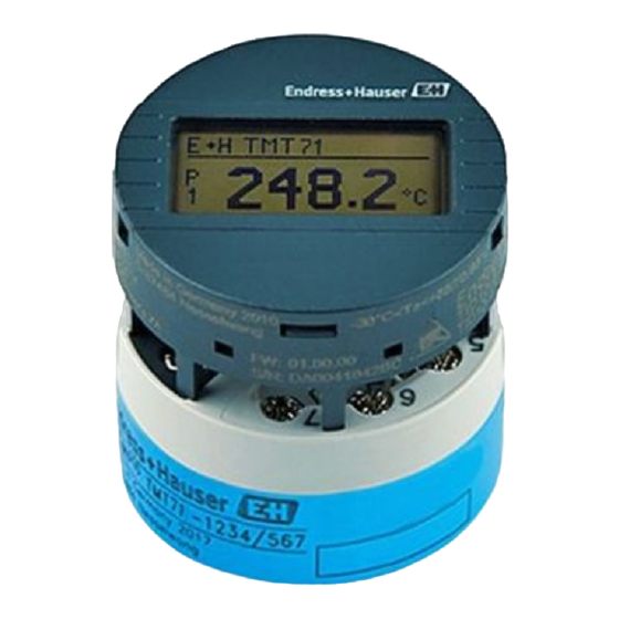Endress+Hauser TID10 Montageanleitung