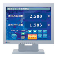 Eizo Flex Scan S Handbuch