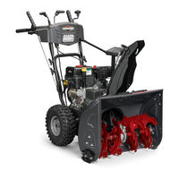 Briggs & Stratton S1024MD Bedienungsanleitung