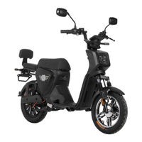 E.F.O EB250P Bedienungsanleitung