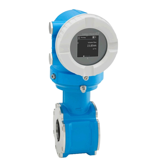 Endress+Hauser Proline Promag D 10 Betriebsanleitung