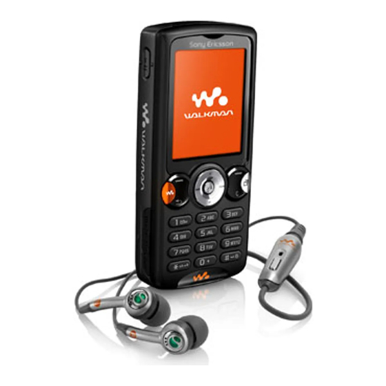 Sony Ericsson W810 Bedienungsanleitung