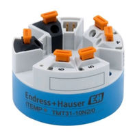 Endress+Hauser iTEMP TMT31 Betriebsanleitung