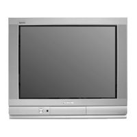 Panasonic TX-29AS1D Bedienungsanleitung