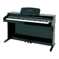 Hemingway DP-701 MKII Bedienungsanleitung