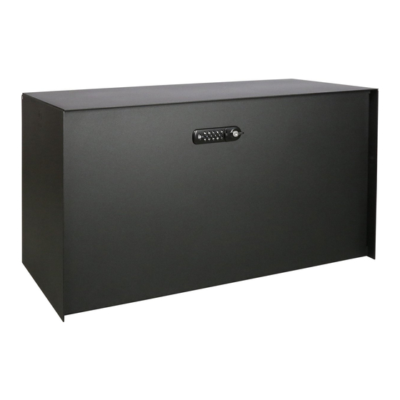 eSafe Bulkbox Anleitung