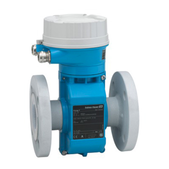 Endress+Hauser Proline Promag P 100 Betriebsanleitung