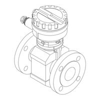 Endress+Hauser Promag 39 F Betriebsanleitung