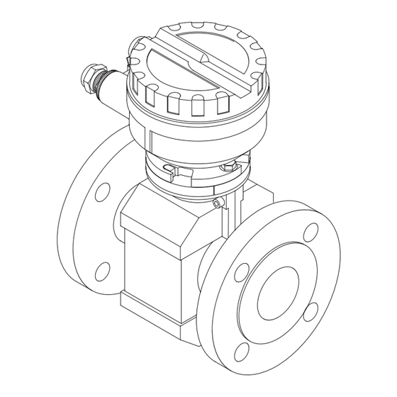 Endress+Hauser promag 39 Betriebsanleitung