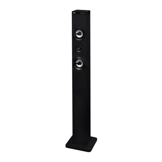 Trevi XT 101 BT Bedienungsanleitung