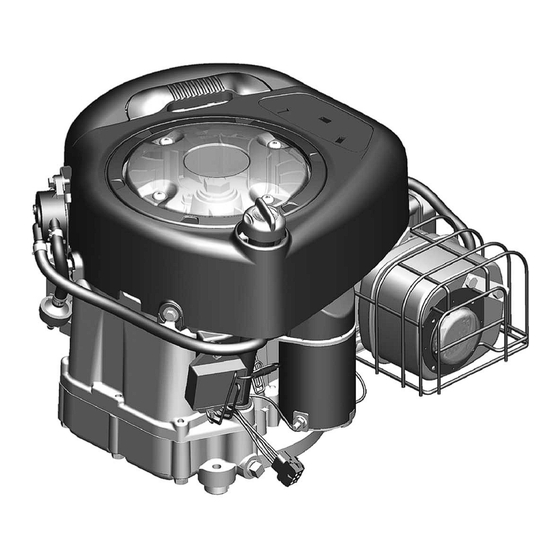 BRIGGS&STRATTON 210000 Bedienungsanleitung
