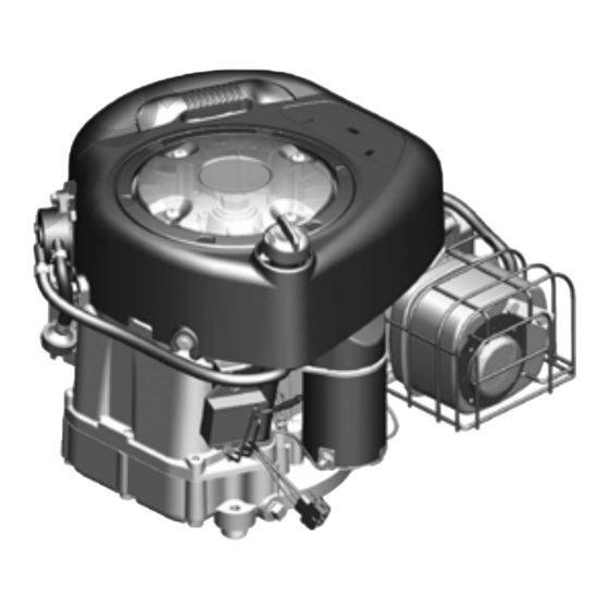 Briggs & Stratton 210000 Bedienungsanleitung