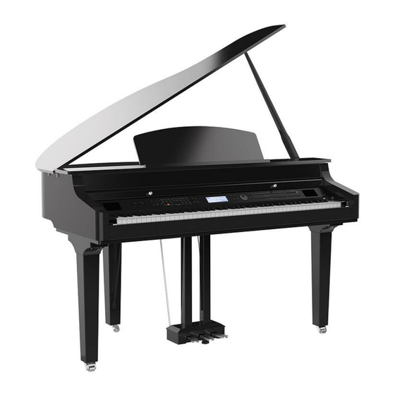 Kirstein CLASSIC CANTABILE GP-A 810 Bedienungsanleitung