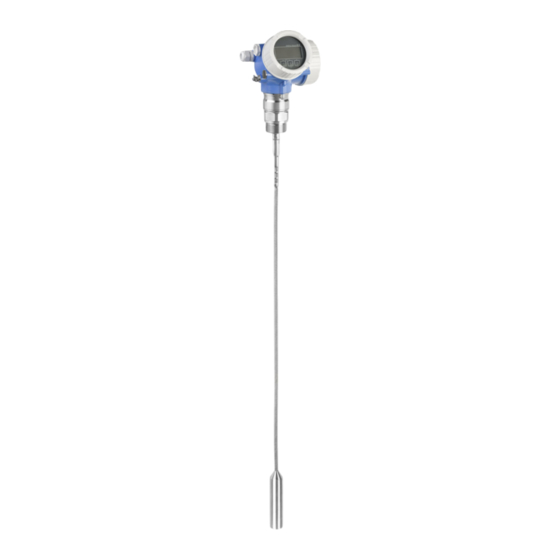 Endress+Hauser Levelflex FMP56 Technische Information