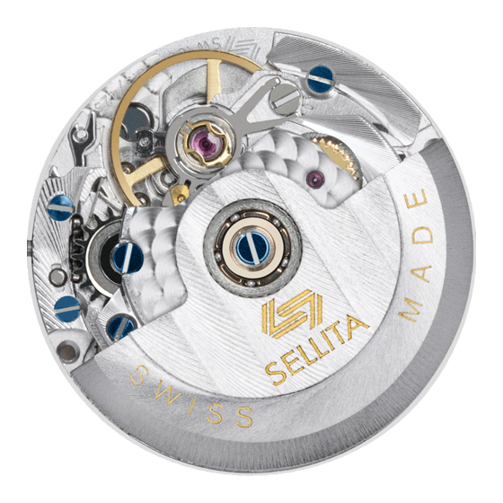 SELLITA SW100 Technische Dokumentation
