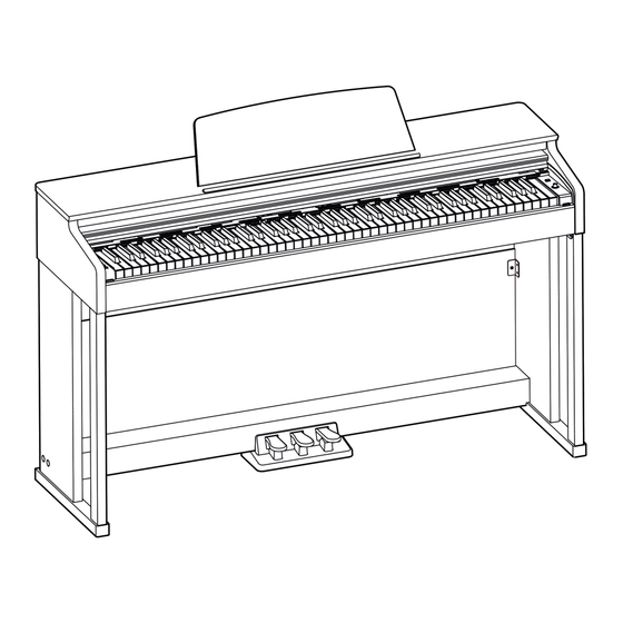 FAME DP-3000 Bedienungsanleitung