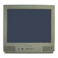 Panasonic TX-21CK1F Bedienungsanleitung