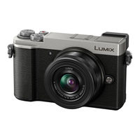 Panasonic Lumix DC-GX9M Kurzbedienungsanleitung