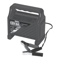 Absaar 1206CS - 6A 12V - 100602 Bedienungsanleitung