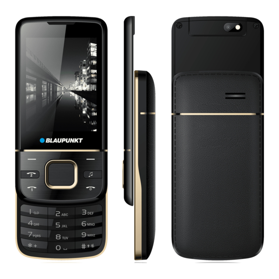 Blaupunkt FM 01 Slider Bedienungsanleitung