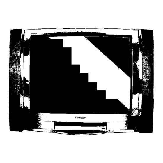 Panasonic TX-28D60C/S Bedienungsanleitung