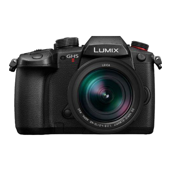 Panasonic LUMIX DC-GH5M2 Bedienungsanleitung
