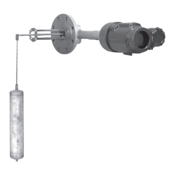 Emerson Fisher 249BP Betriebsanleitung