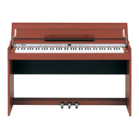 Roland DP-990 Bedienungsanleitung