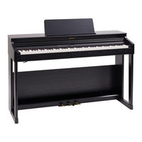 Roland RP-701-CB Bedienungsanleitung