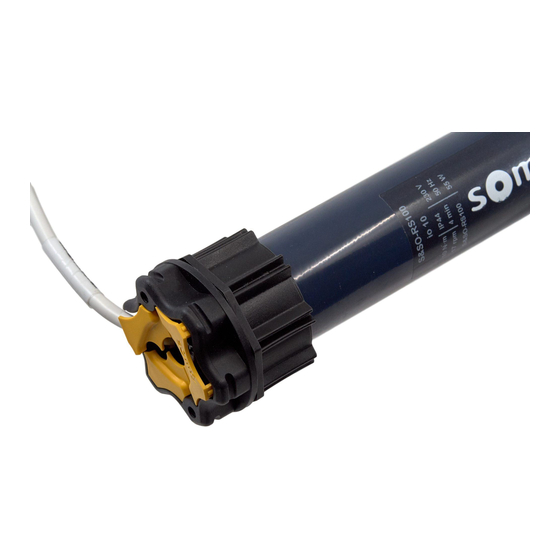 SOMFY RS100 io Einstellanleitung