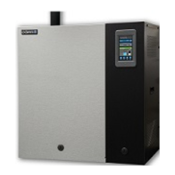 DriSteem RTS RX-6-1 Installations-, Bedienungs- Und Wartungsanleitung