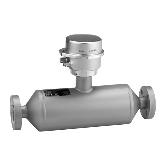 Endress+Hauser Proline Promass I 100 Technische Information