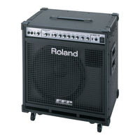 Roland D-BASS 115X Bedienungsanleitung