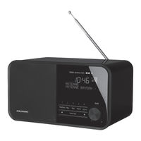 Grundig DTR RB 4000 DAB+ BT Bedienungsanleitung