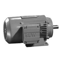 SEW-Eurodrive DVE 250 Zusatzbetriebsanleitung