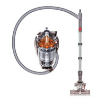 Dyson DC 20 Allergy Anleitung