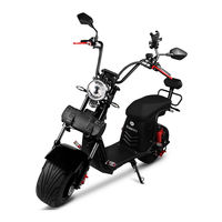 Rolektro E-Chopper 45 Handbuch