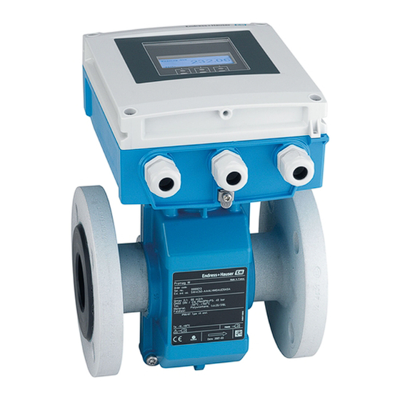 Endress+Hauser Proline Promag D 400 Modbus RS485 Betriebsanleitung