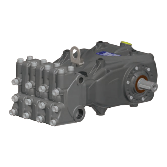 Interpump Group Pratissoli EV Serie Reparaturanleitung