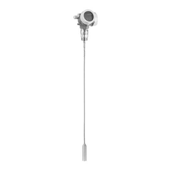 Endress+Hauser Levelflex FMP50 Einbauanleitung