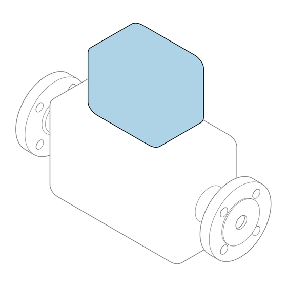 Endress+Hauser Proline 100 EtherNet/IP Kurzanleitung