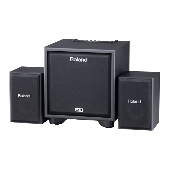 Roland CUBE MONITOR CM-110 Bedienungsanleitung