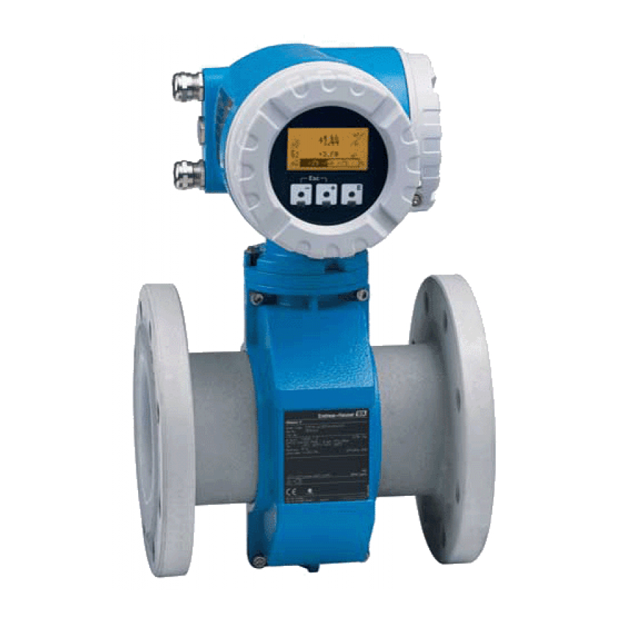 Endress+Hauser Promag Einbauanleitung