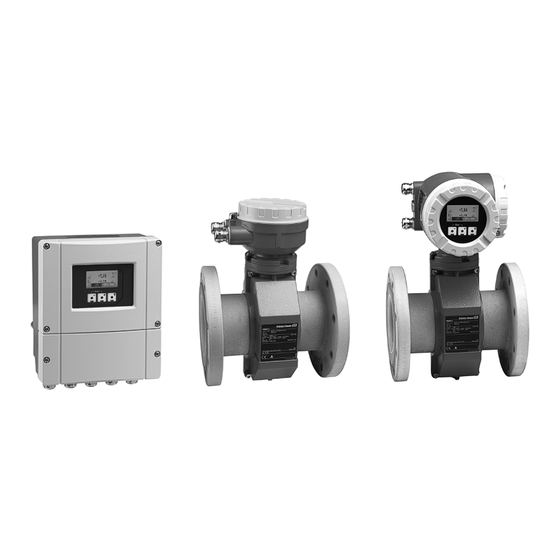 Endress+Hauser Proline Promag 55S Technische Information