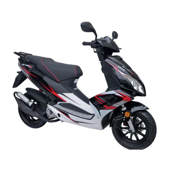 Sachs Speedjet RS Betriebsanleitung